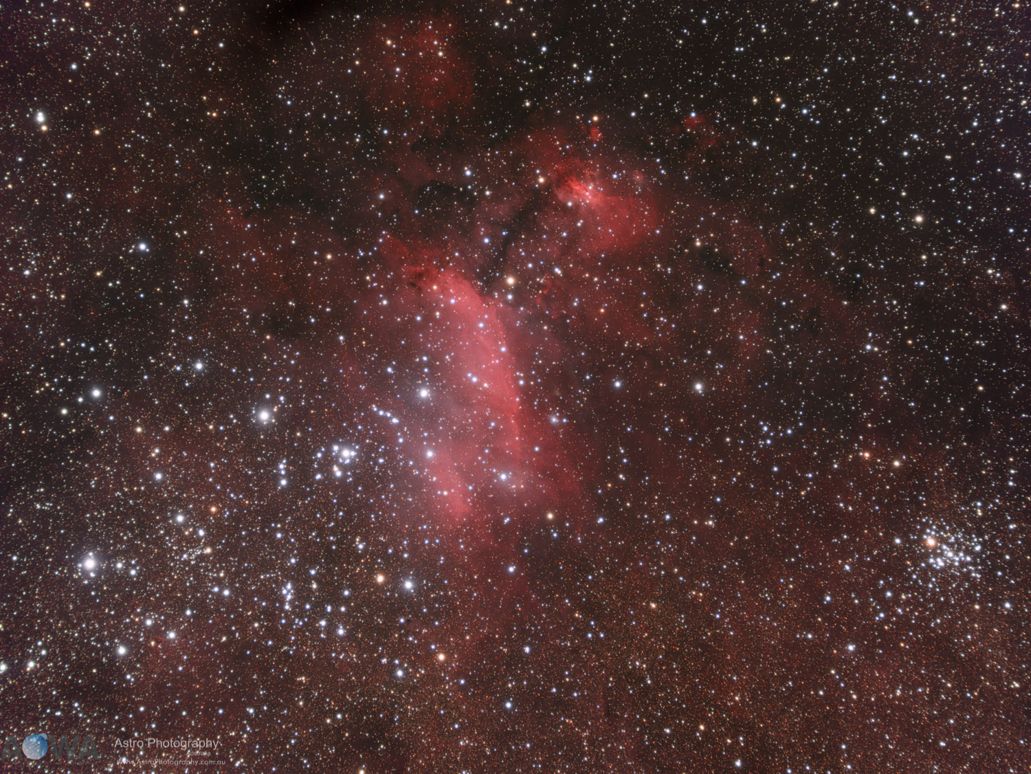 Prawn Nebula IC4628